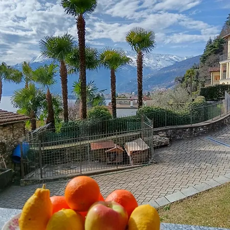 Augusta Apartamento