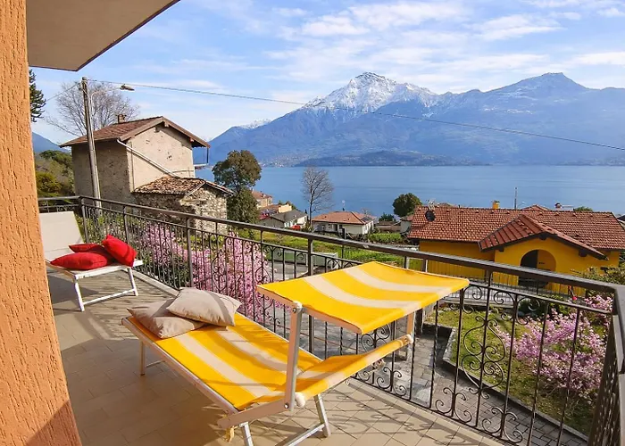 Augusta * ドマーゾ