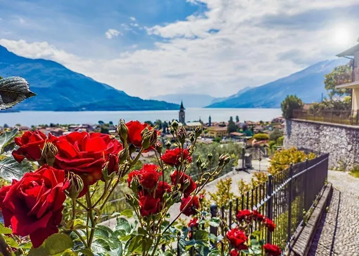 Augusta アパート *